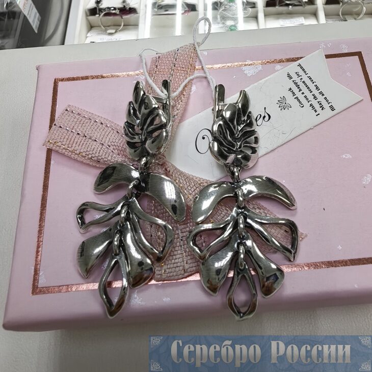 Серебряные серьги МОНСТЕРА